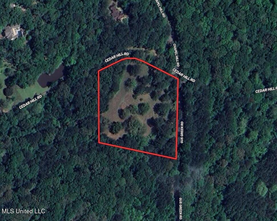 493 Gus Green Road, Flora, Mississippi image 2