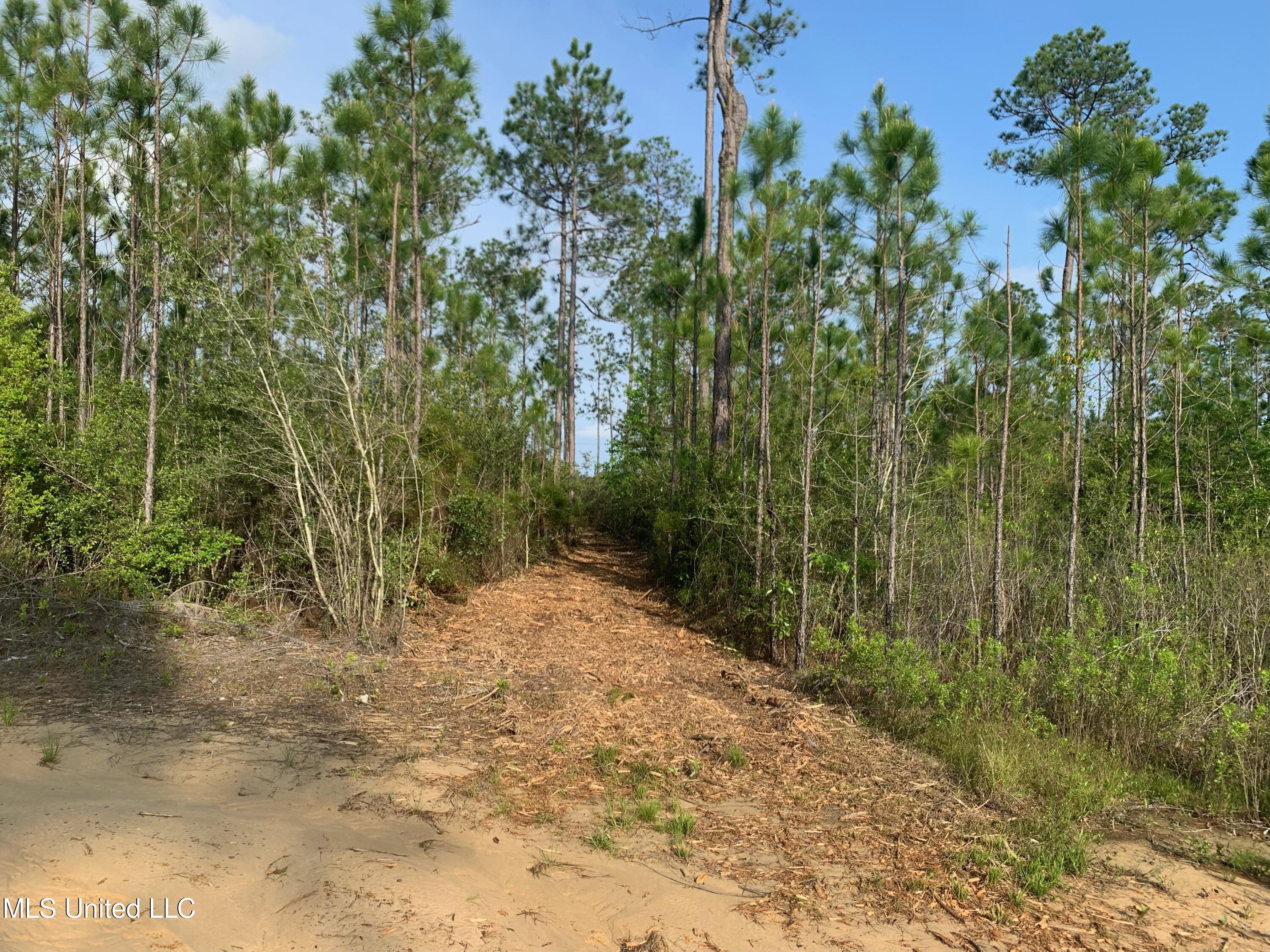 Road 397 Road, Kiln, Mississippi image 3