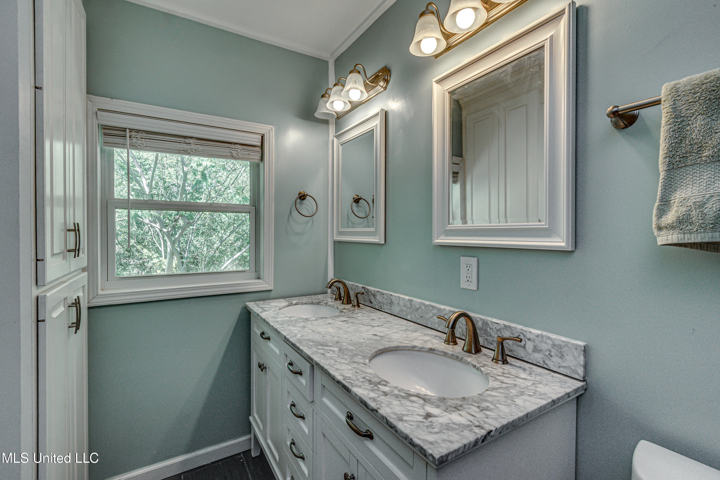 202 Trickhambridge Road, Brandon, Mississippi image 43