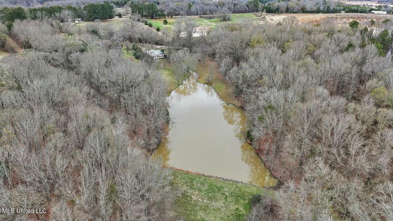 140 Neely Road, Bentonia, Mississippi image 6