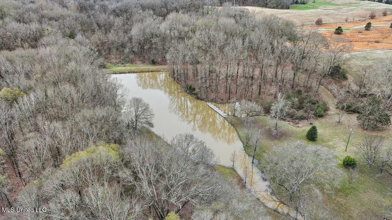 140 Neely Road, Bentonia, Mississippi image 8