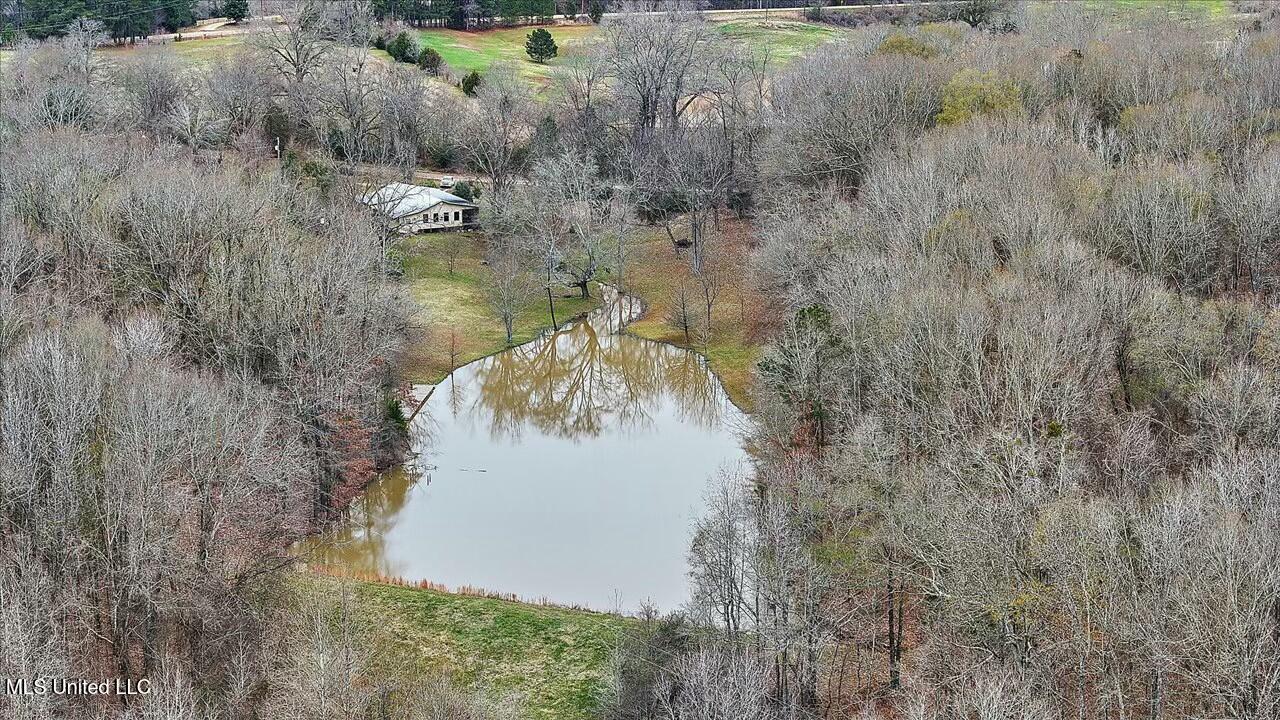 140 Neely Road, Bentonia, Mississippi image 4