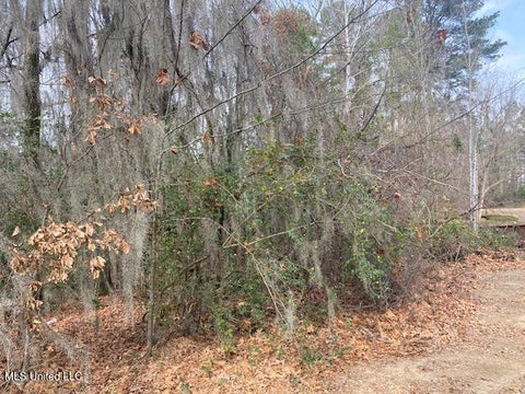 Vacant Land For Sale - DUNLIETH W Dunleith Way<br/> Clinton, MS 39056