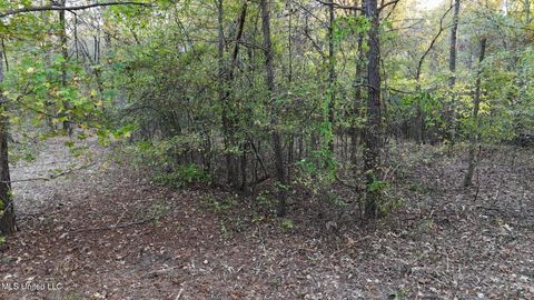 Vacant Land For Sale - 9426 Mississippi 315<br/> Sardis, MS 38666