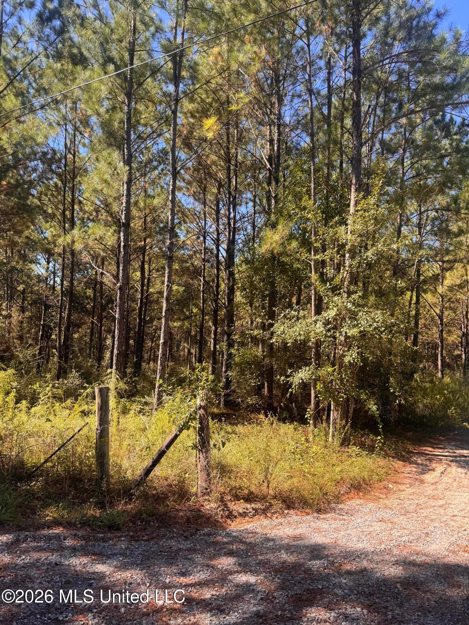 21525 Gartman Jones Road