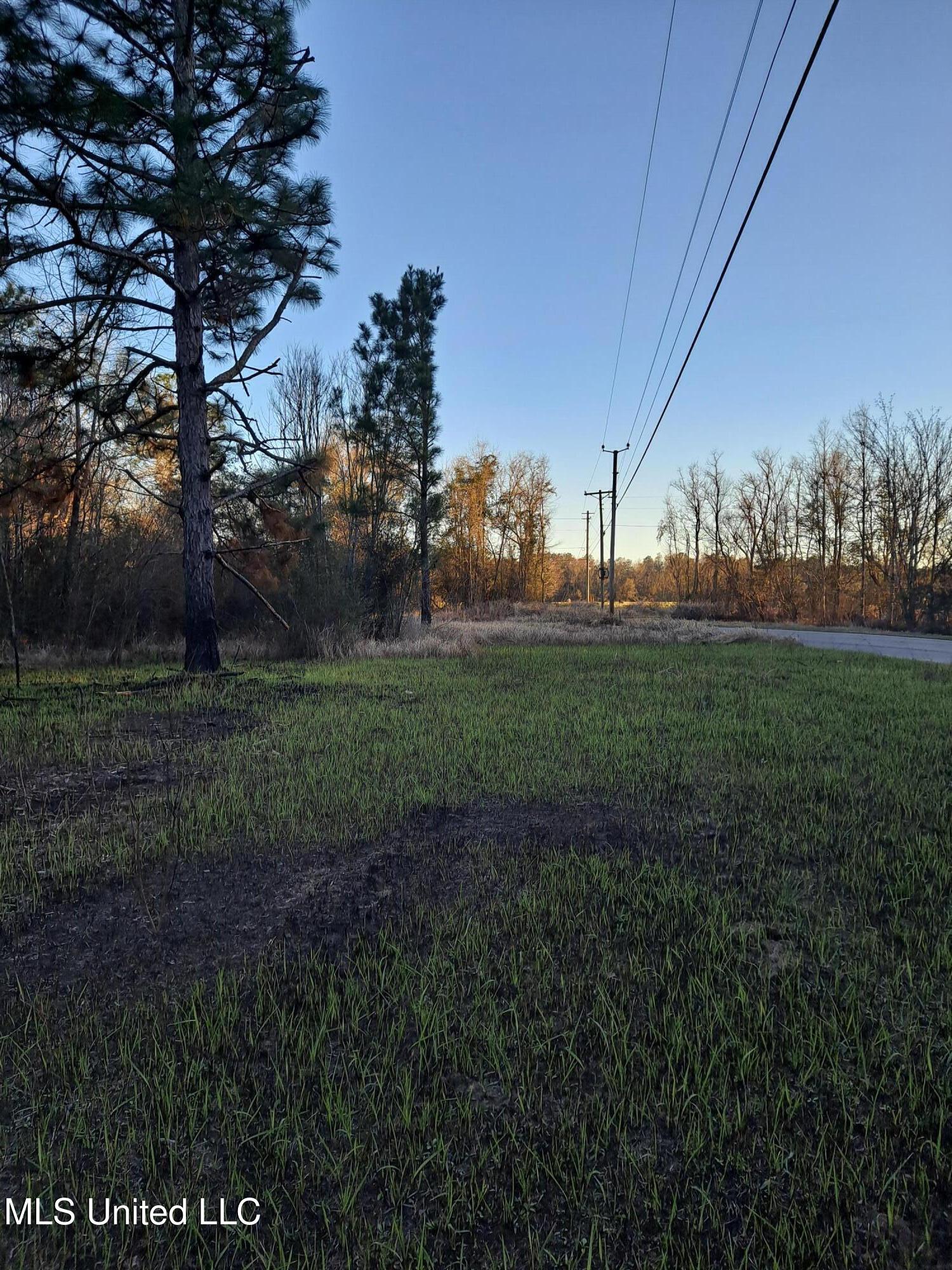 Tannertown Road, Lucedale, Mississippi image 3