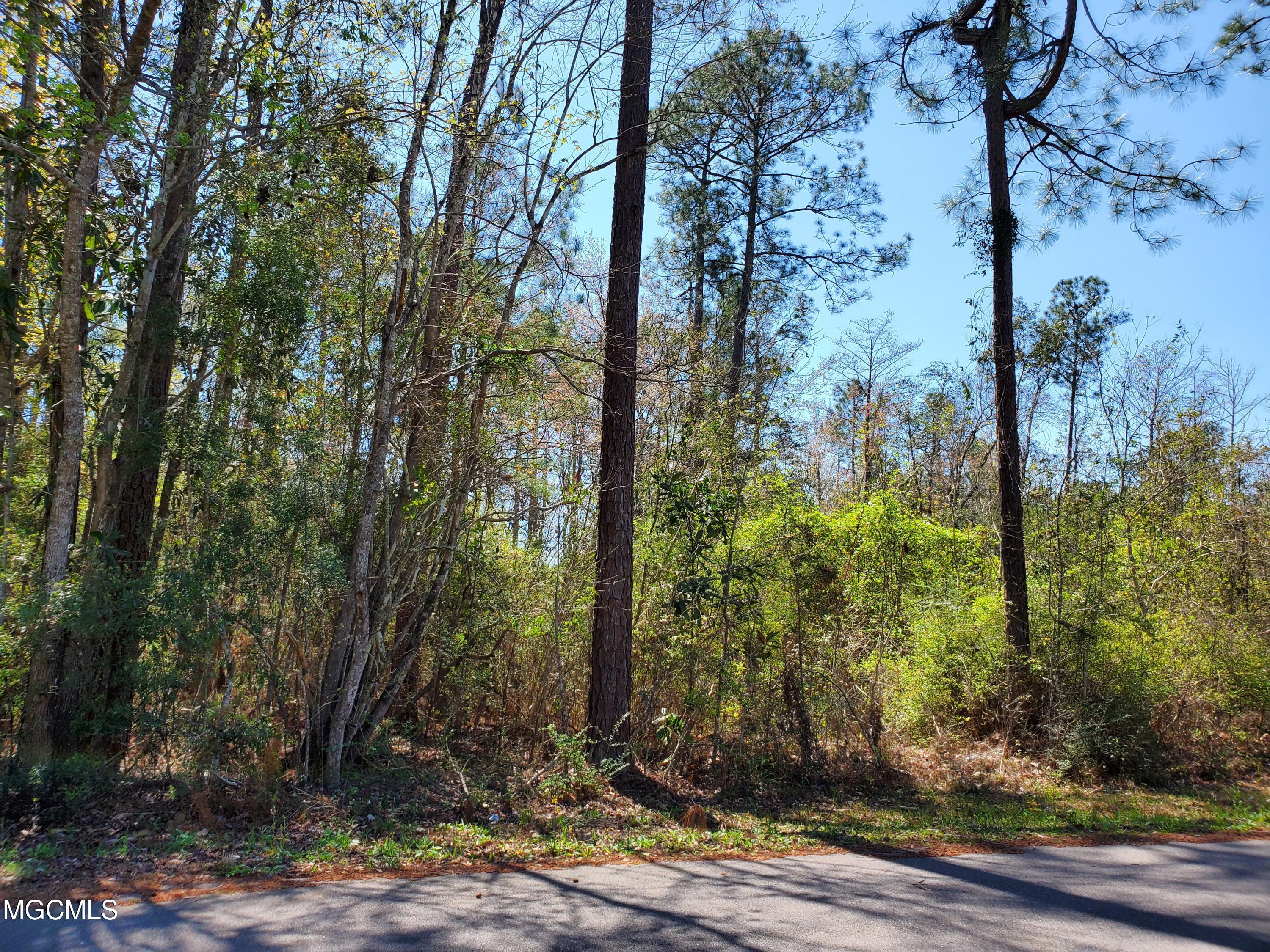 Lot 14 Shawnee Street, Kiln, Mississippi image 1