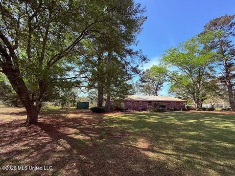 Homes For Sale - 41 Tom Lewis Road<br/> Walthall County, Tylertown, MS 39667