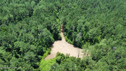 Vacant Land For Sale - Hwy 43 Highway<br/> Leake County, Kosciusko, MS 39090