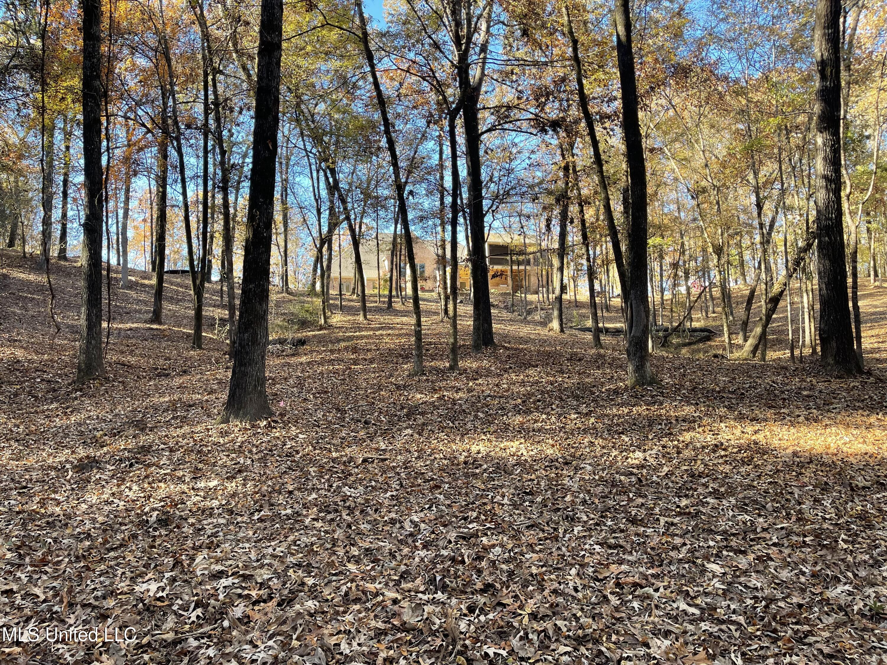 Flora, Mississippi 39071, United States, 5 Bedrooms Bedrooms, ,5 BathroomsBathrooms,Residential,Pending,29076