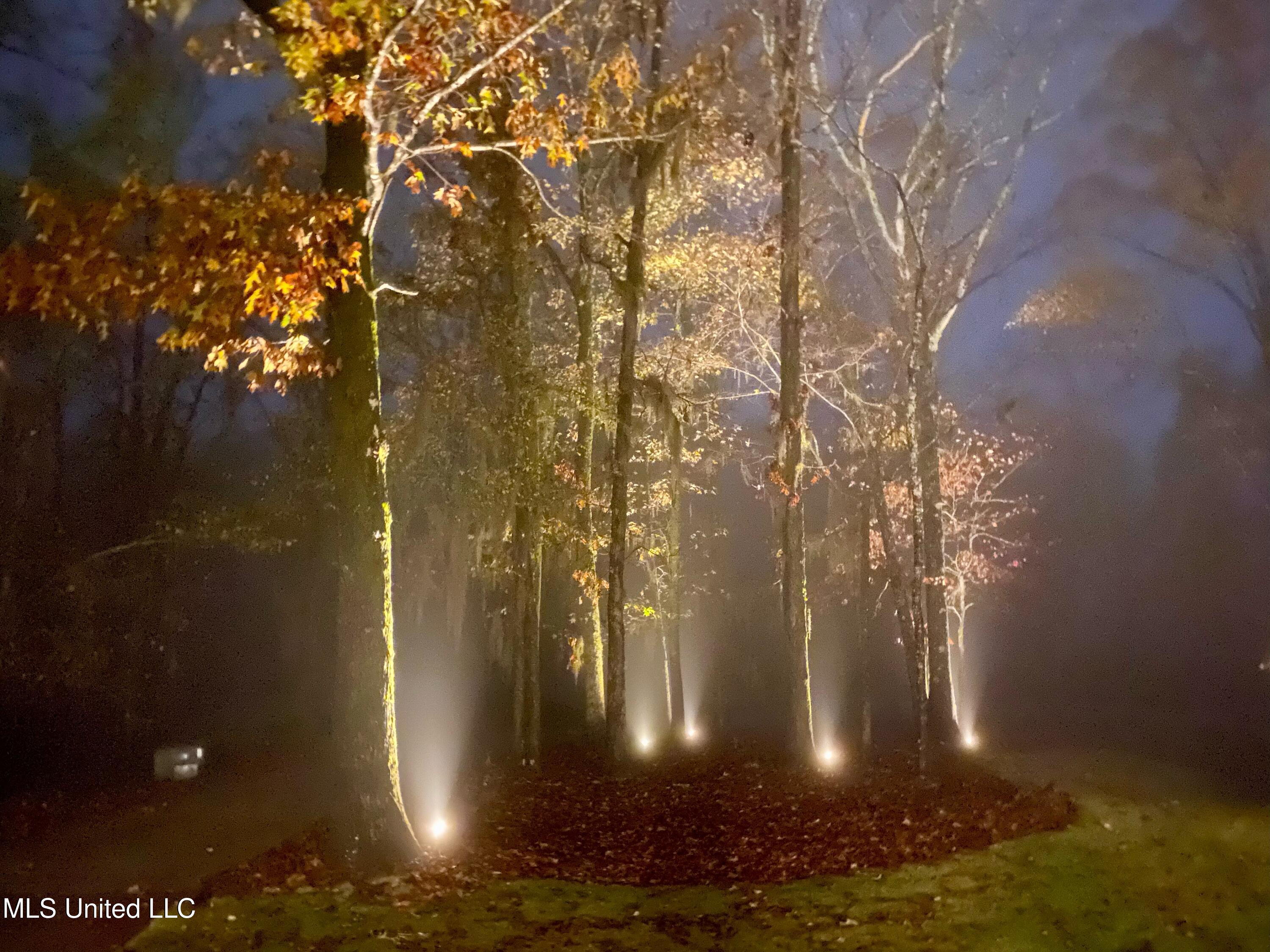 Flora, Mississippi 39071, United States, 5 Bedrooms Bedrooms, ,5 BathroomsBathrooms,Residential,Pending,29076