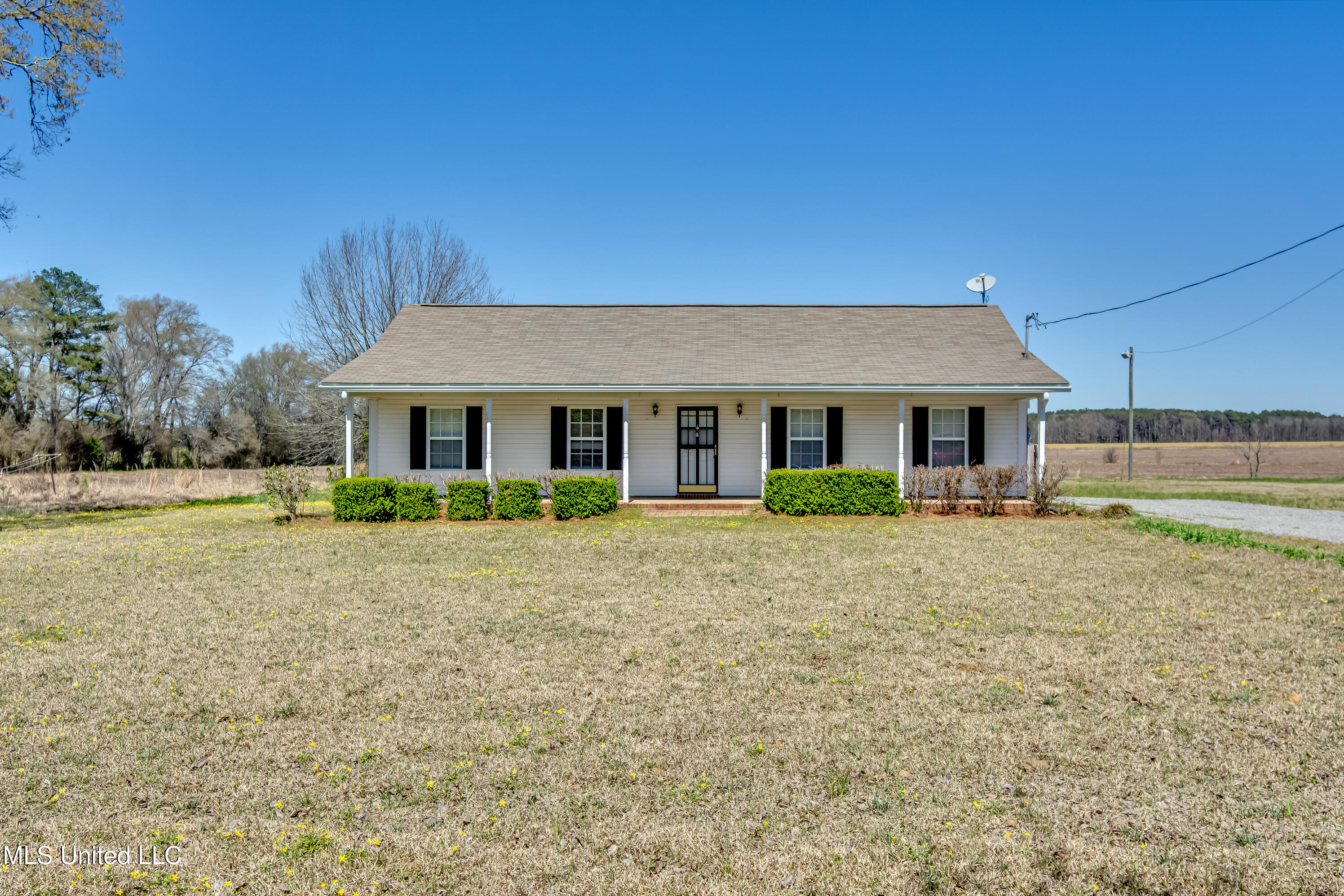 411 Parker Road, Pelahatchie, Mississippi image 41