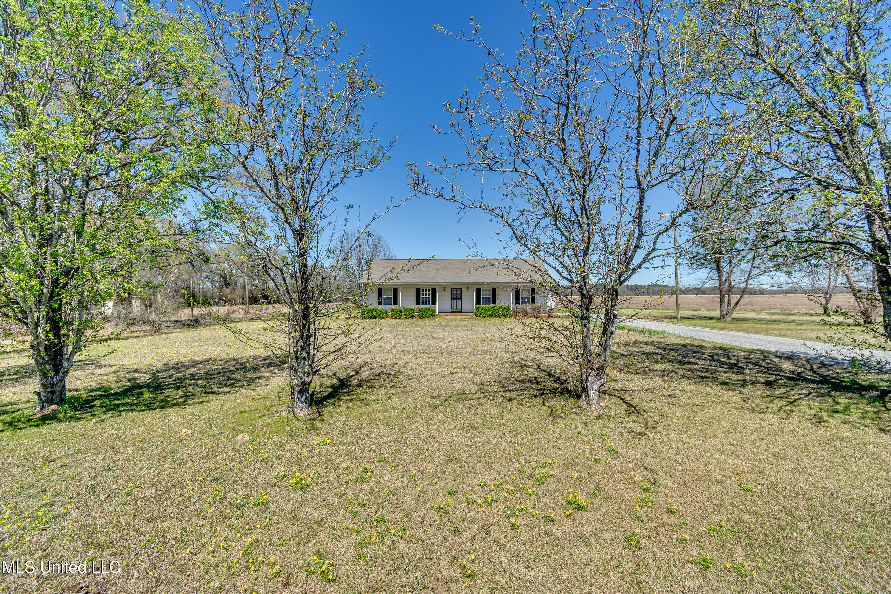 411 Parker Road, Pelahatchie, Mississippi image 42