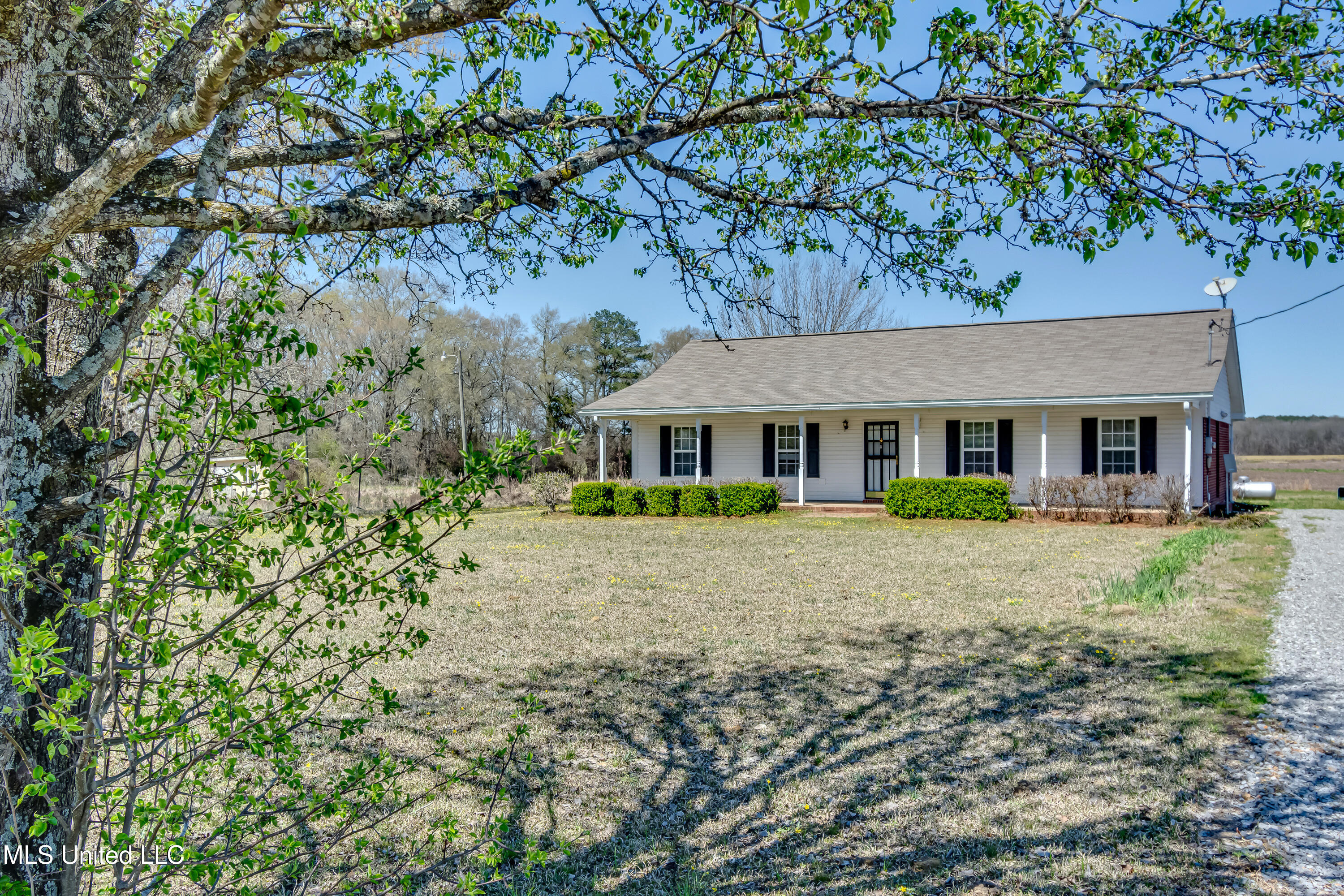 411 Parker Road, Pelahatchie, Mississippi image 40