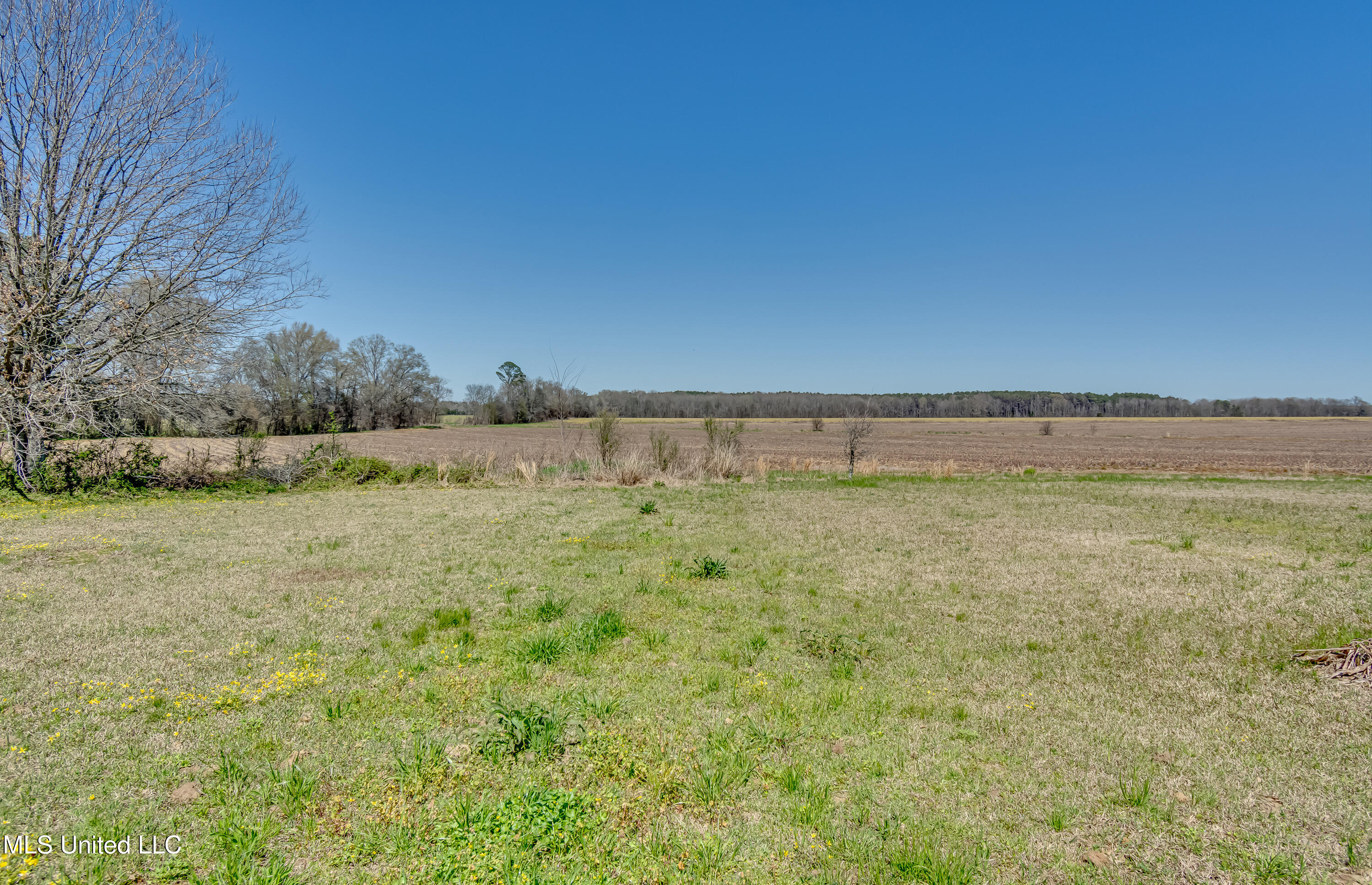 411 Parker Road, Pelahatchie, Mississippi image 46