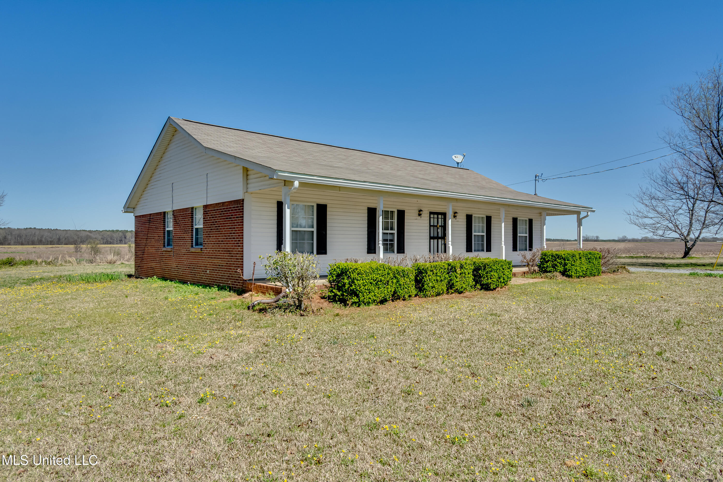 411 Parker Road, Pelahatchie, Mississippi image 43