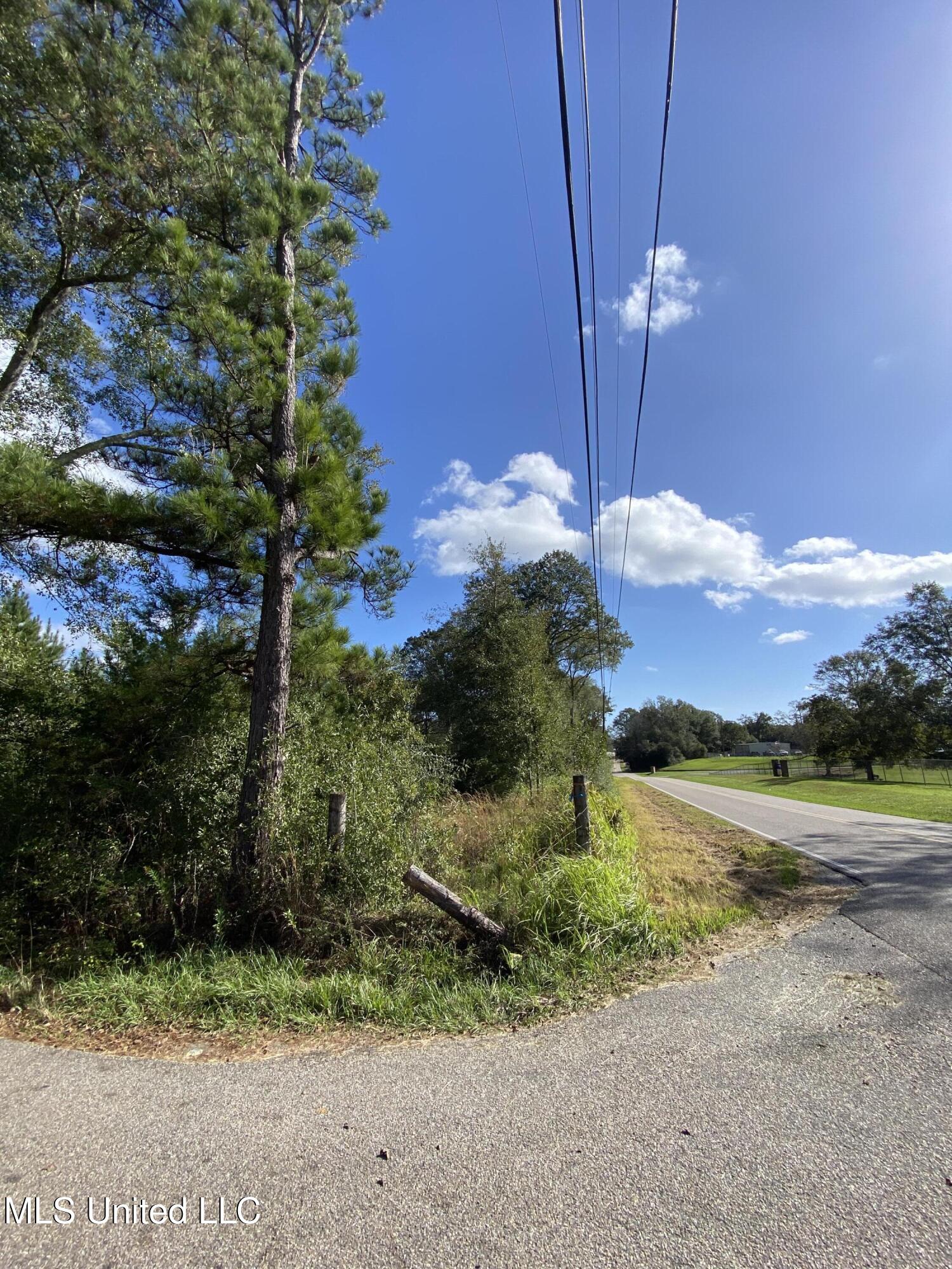 Henleyfield Mcneil Road, Carriere, Mississippi image 10