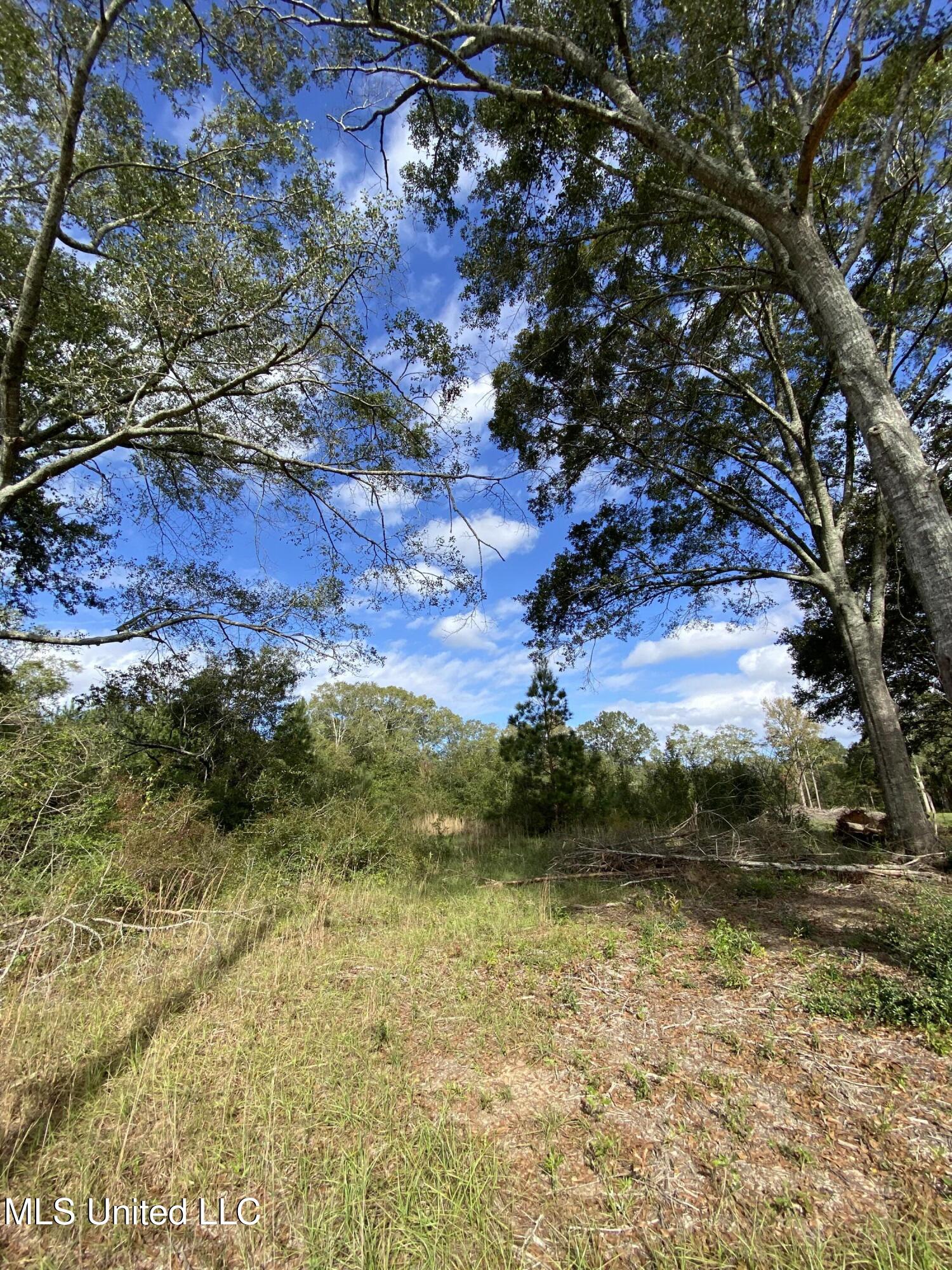 Henleyfield Mcneil Road, Carriere, Mississippi image 6