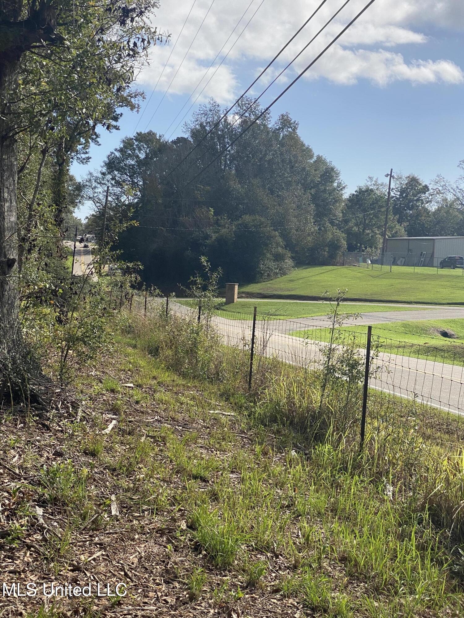 Henleyfield Mcneil Road, Carriere, Mississippi image 8