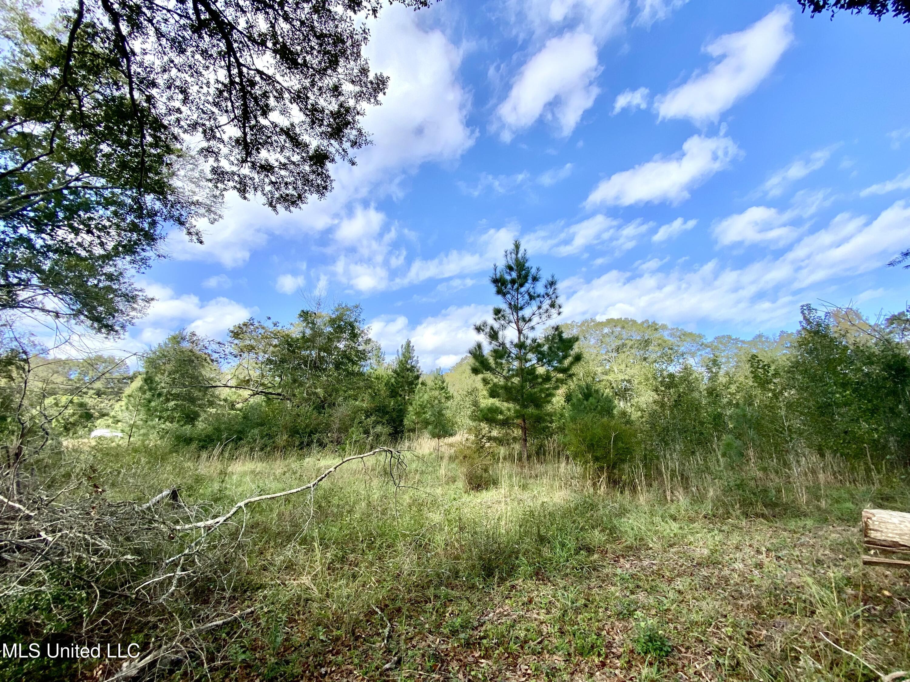 Henleyfield Mcneil Road, Carriere, Mississippi image 1