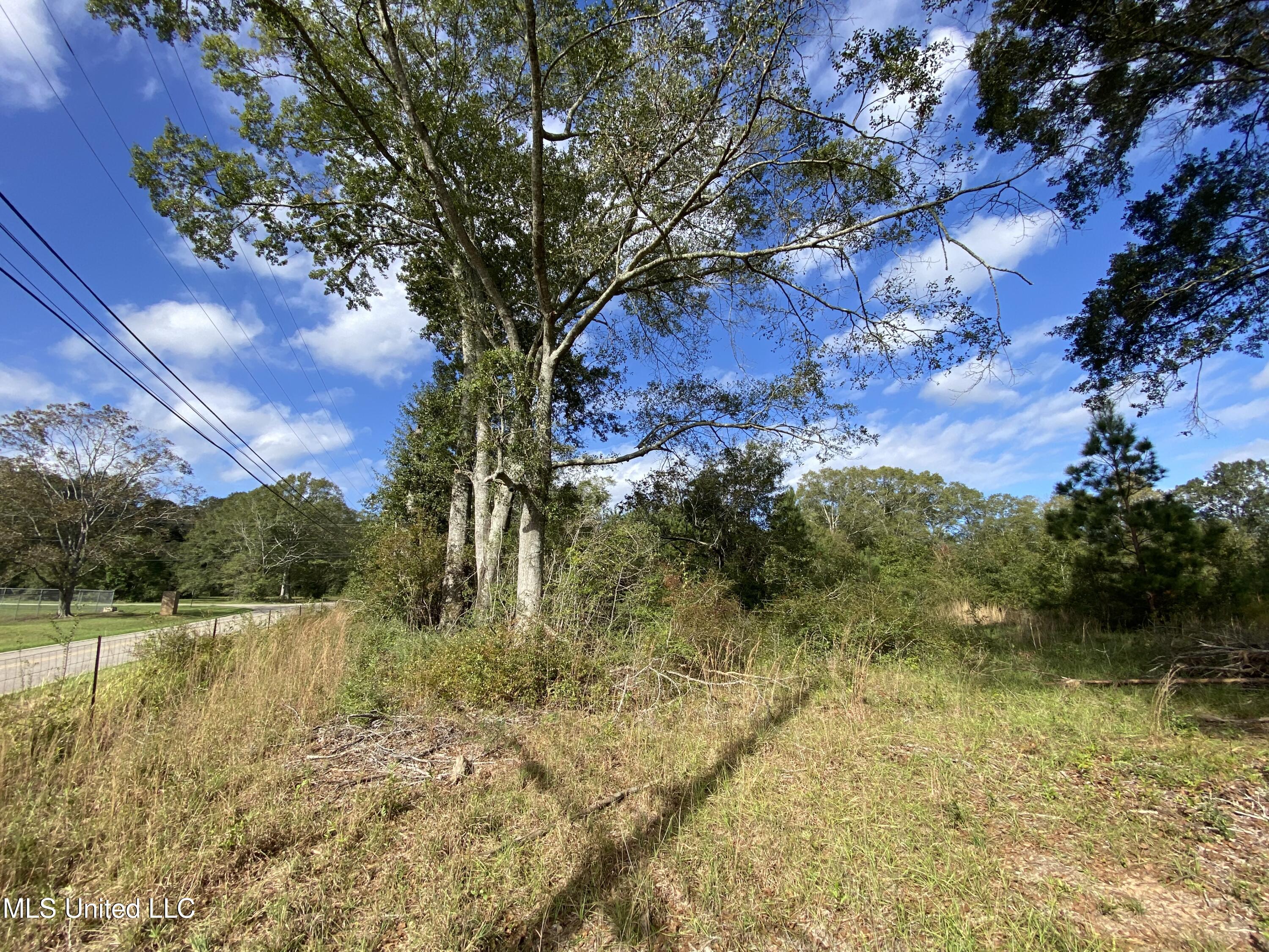 Henleyfield Mcneil Road, Carriere, Mississippi image 7