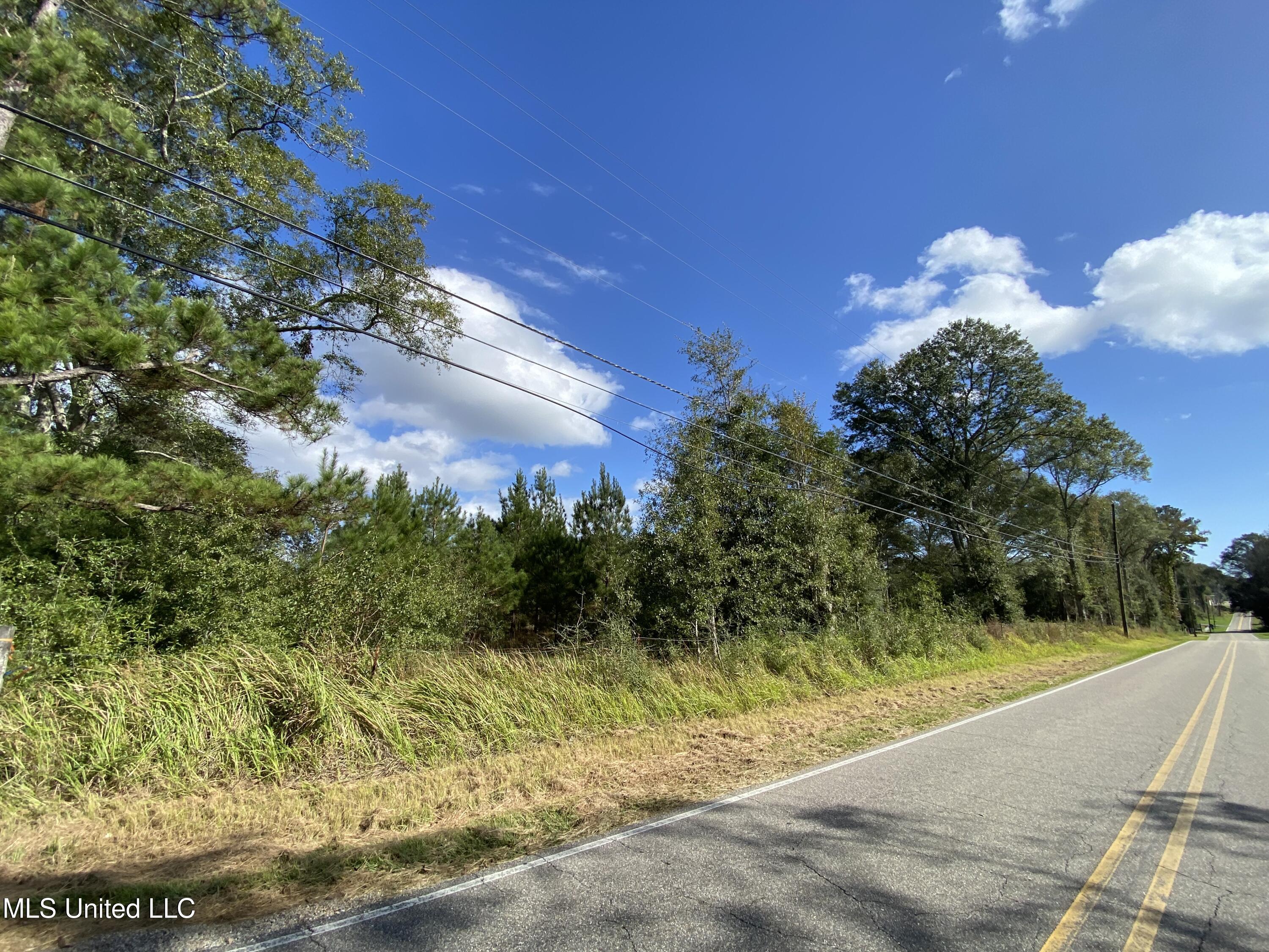 Henleyfield Mcneil Road, Carriere, Mississippi image 11