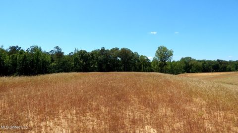 Vacant Land For Sale - 206 Hugh White State Park Road<br/> Grenada, MS 38901