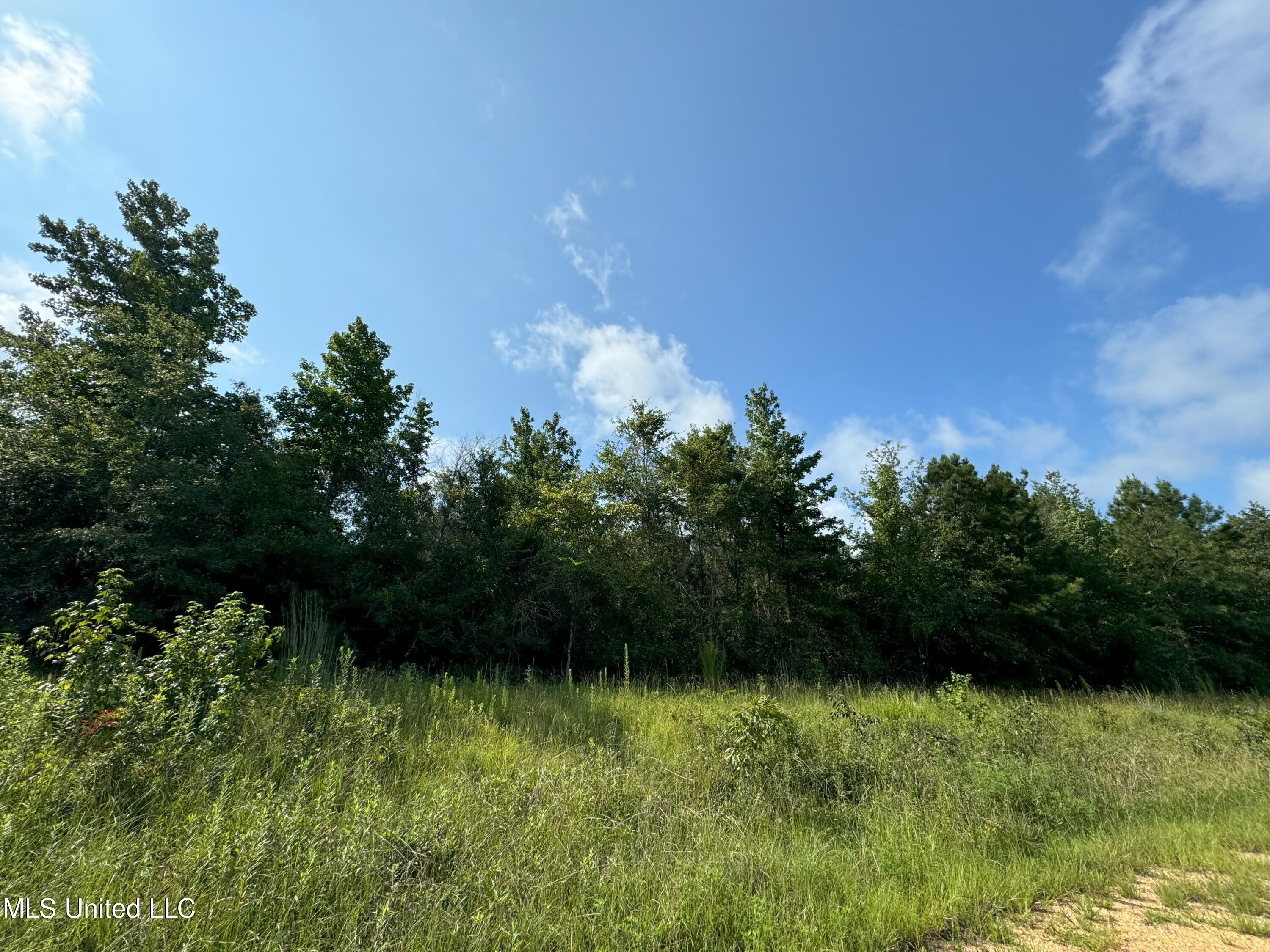 Layton Jones Road, Mendenhall, Mississippi image 8