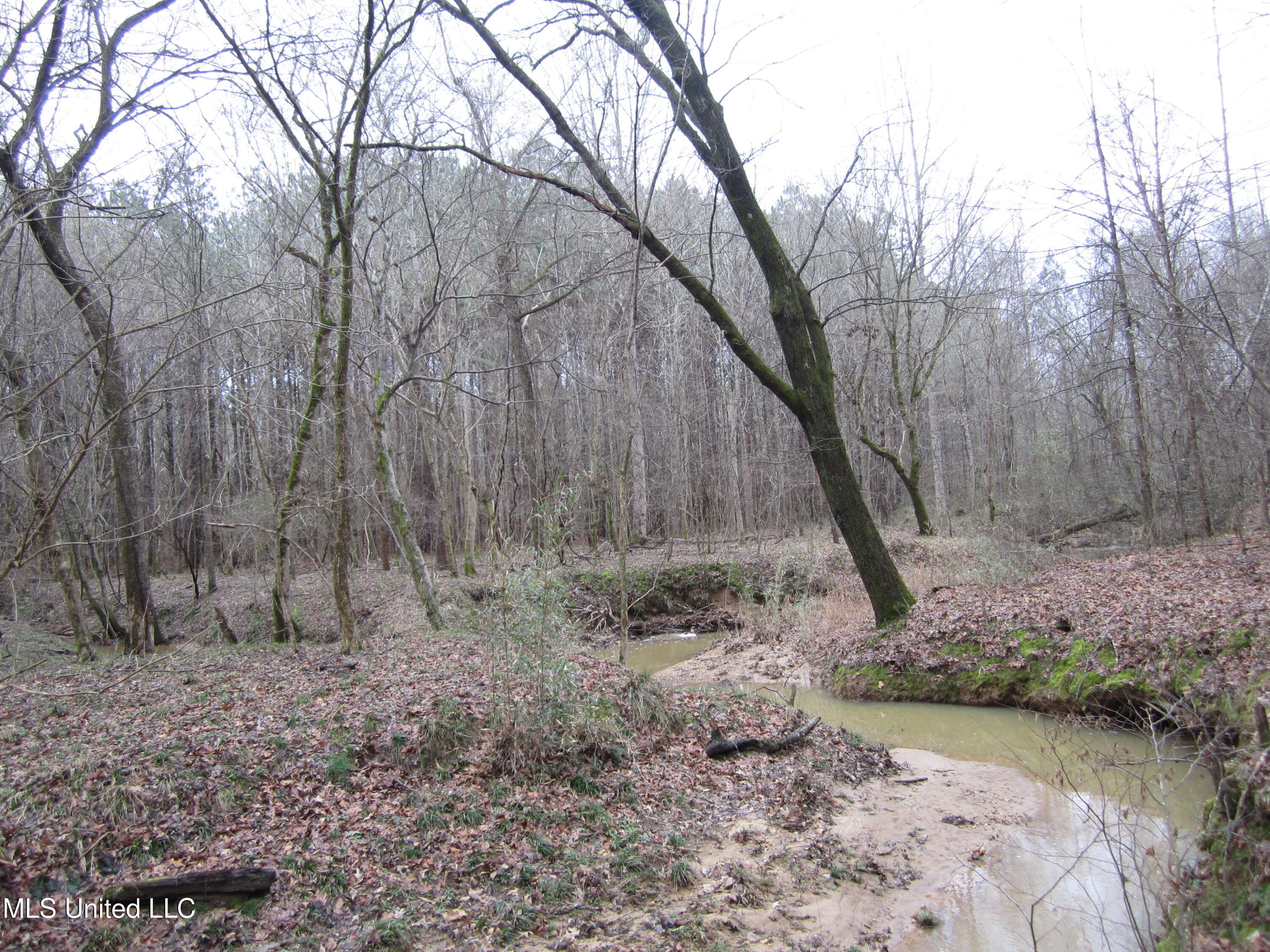 Hunter Creek Road, Charleston, Mississippi image 11