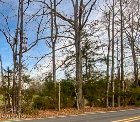 Vacant Land For Sale - 1178 Stump Ridge Road<br/> Brandon, MS 39047