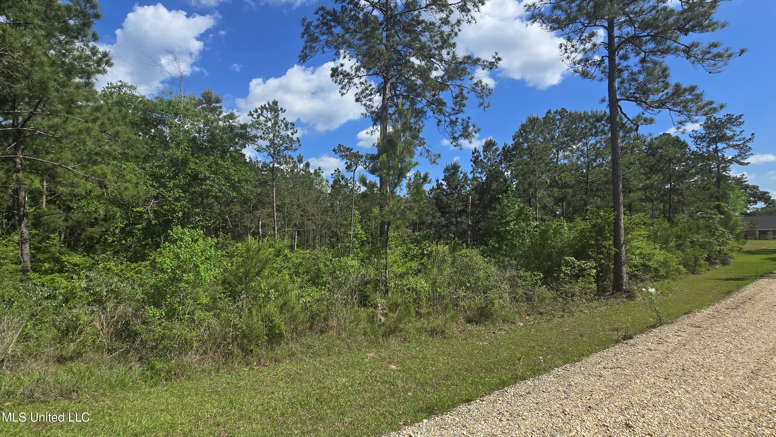 Mellie Lane, Leakesville, Mississippi image 5