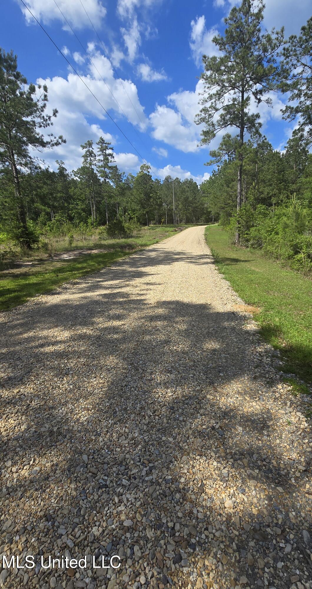 Mellie Lane, Leakesville, Mississippi image 7