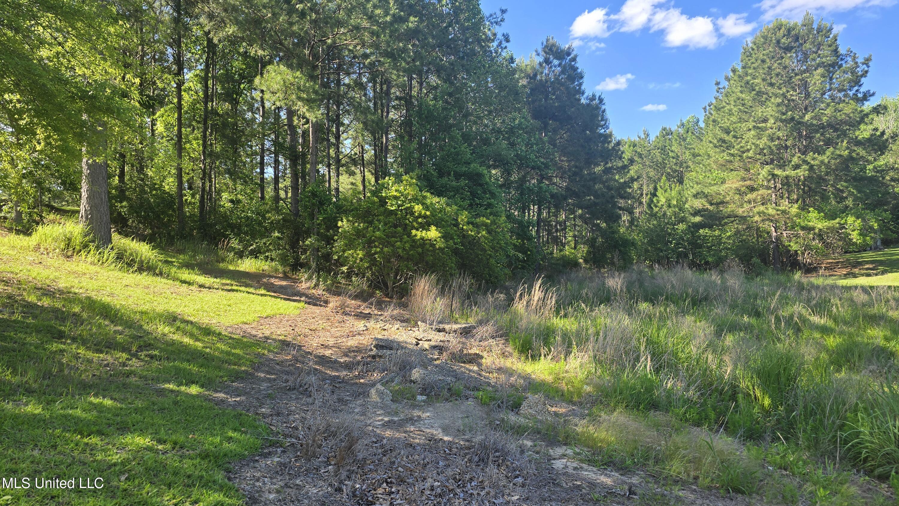Mellie Lane, Leakesville, Mississippi image 8