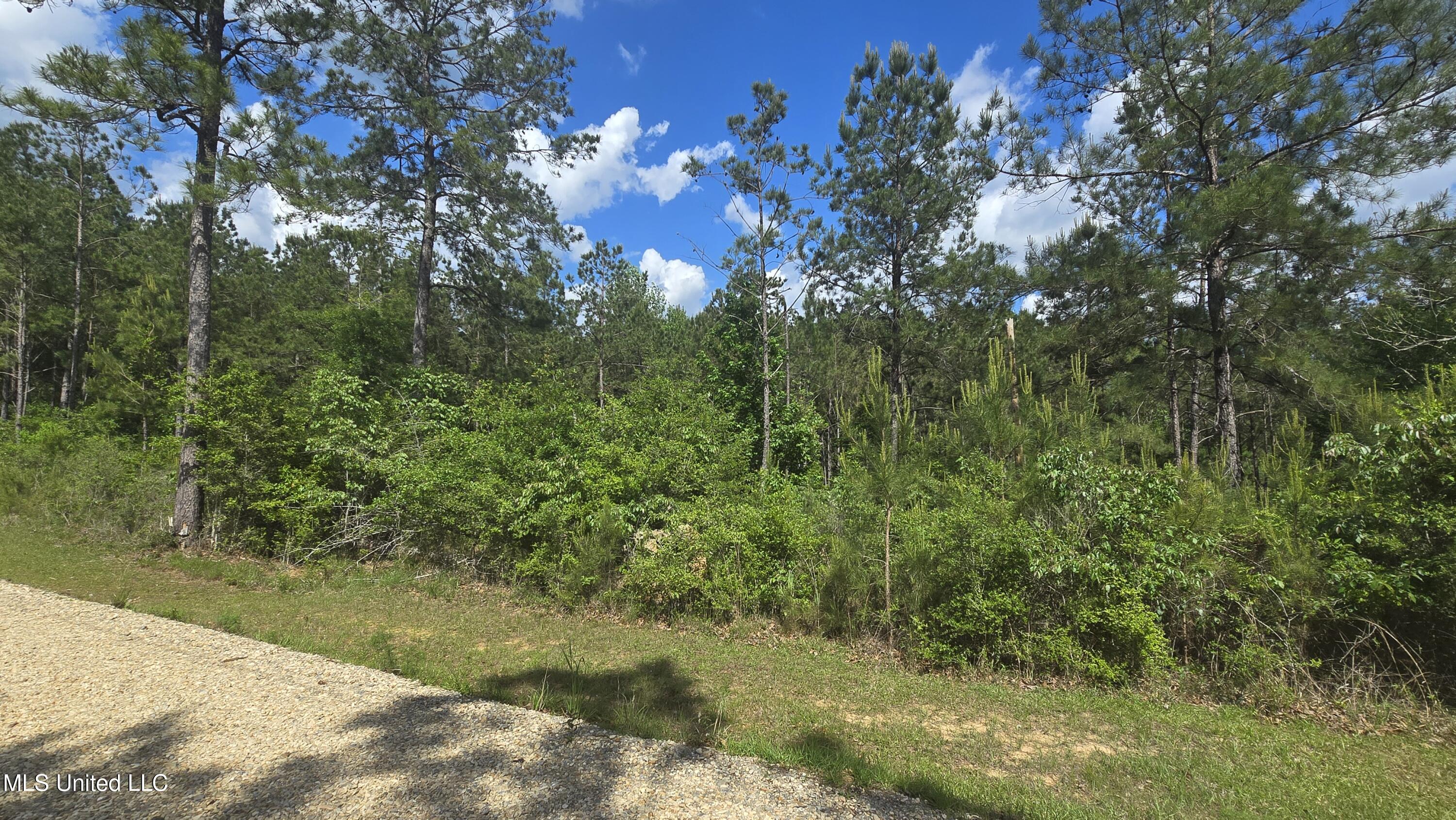Mellie Lane, Leakesville, Mississippi image 3