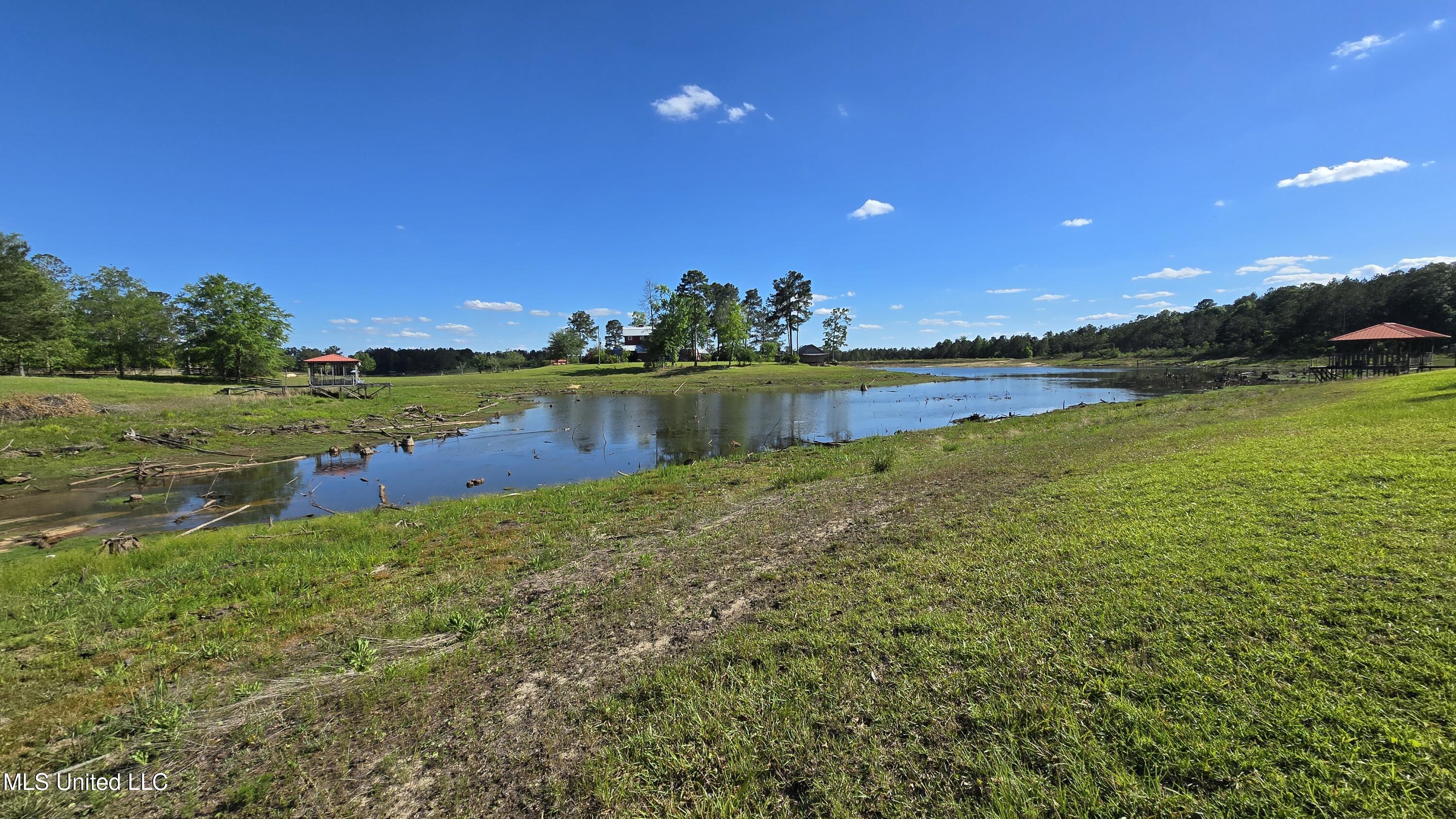 Mellie Lane, Leakesville, Mississippi image 10