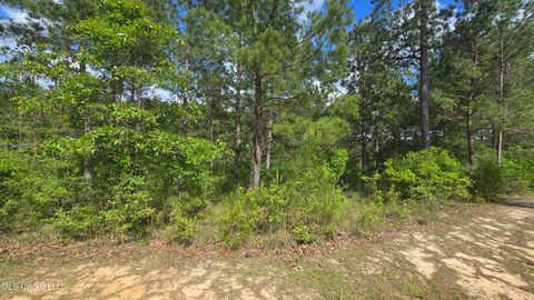 Vacant Land For Sale - Mellie Lane<br/> Leakesville, MS 39451