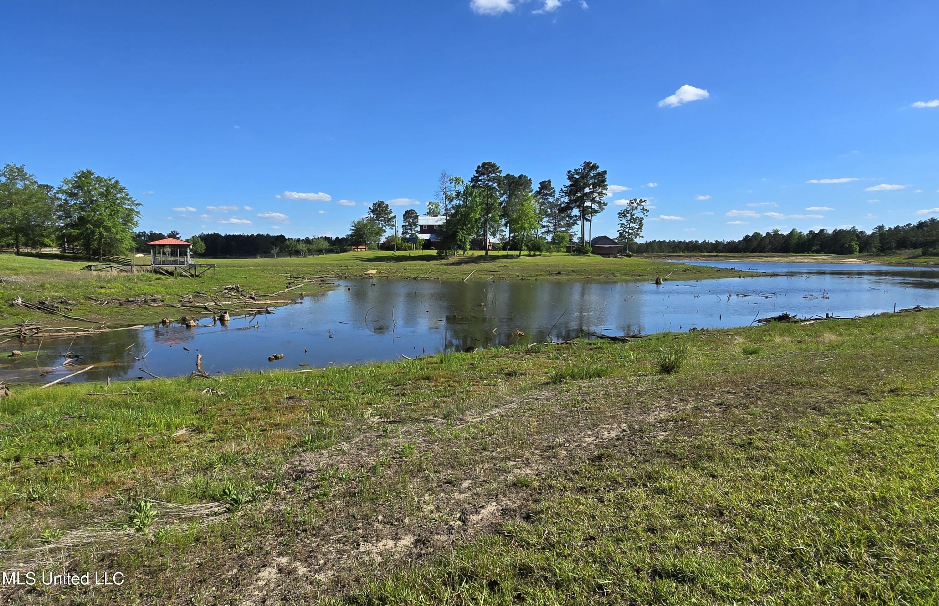 Mellie Lane, Leakesville, Mississippi image 9