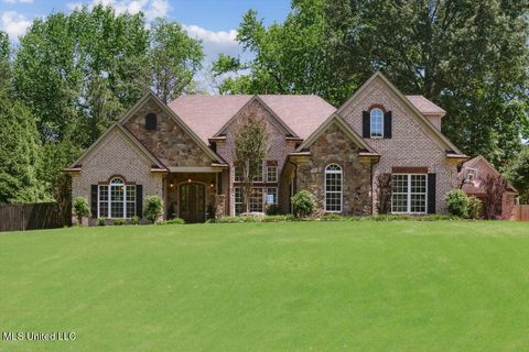 Single Family Residence in Southaven MS 4238 Dickens Place Drive.jpg