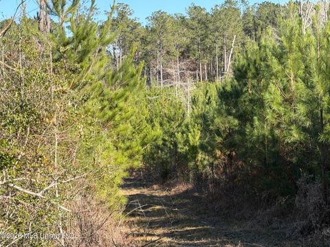 Vacant Land For Sale - Delancey Road<br/> Braxton, MS 39044