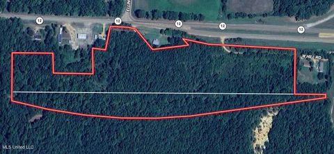 Vacant Land For Sale - Hwy 12 And I-55<br/> Durant, MS 39063