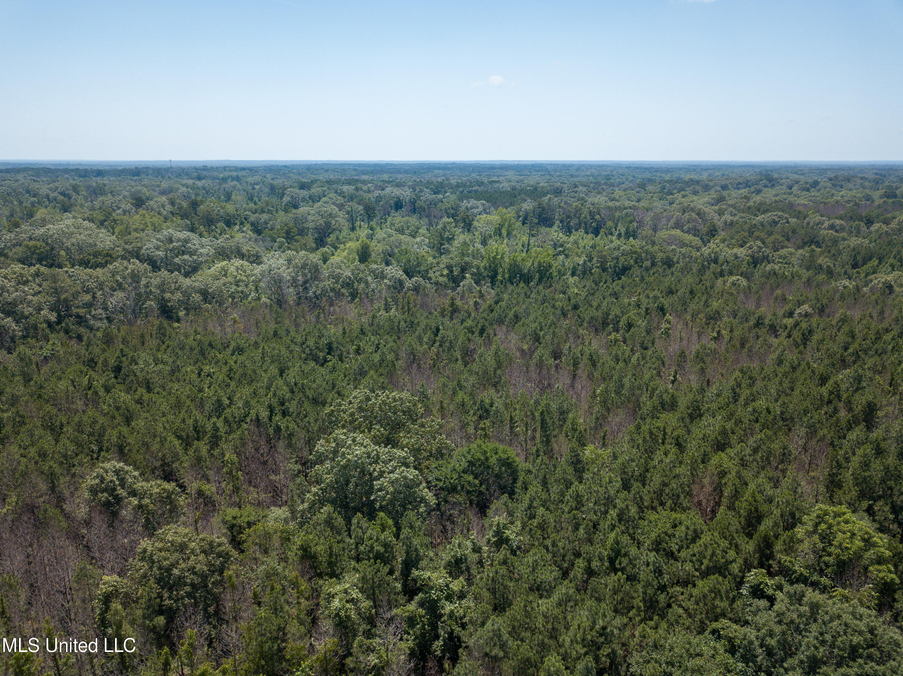 Raymond Road, Jackson, Mississippi image 18