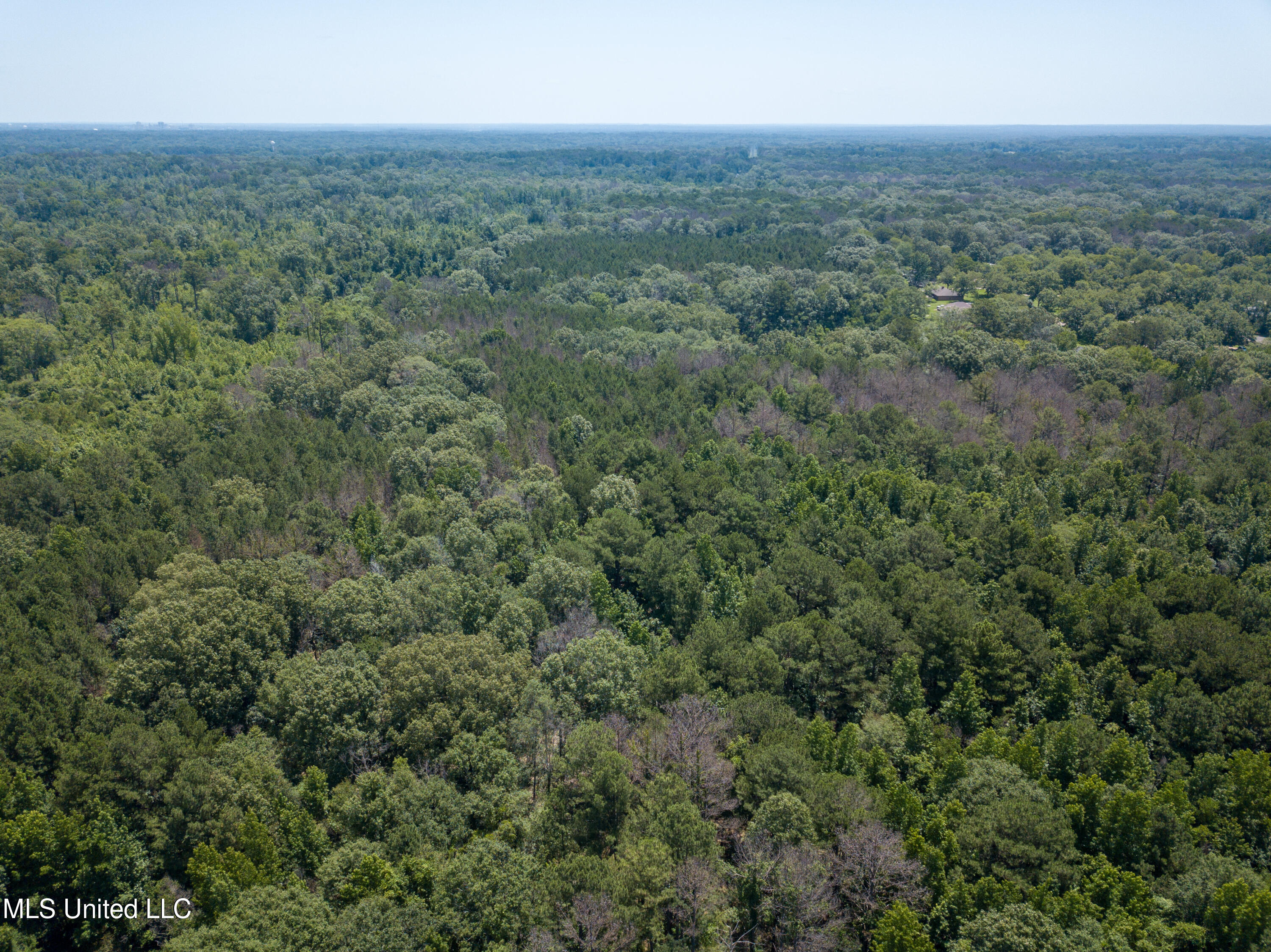 Raymond Road, Jackson, Mississippi image 38