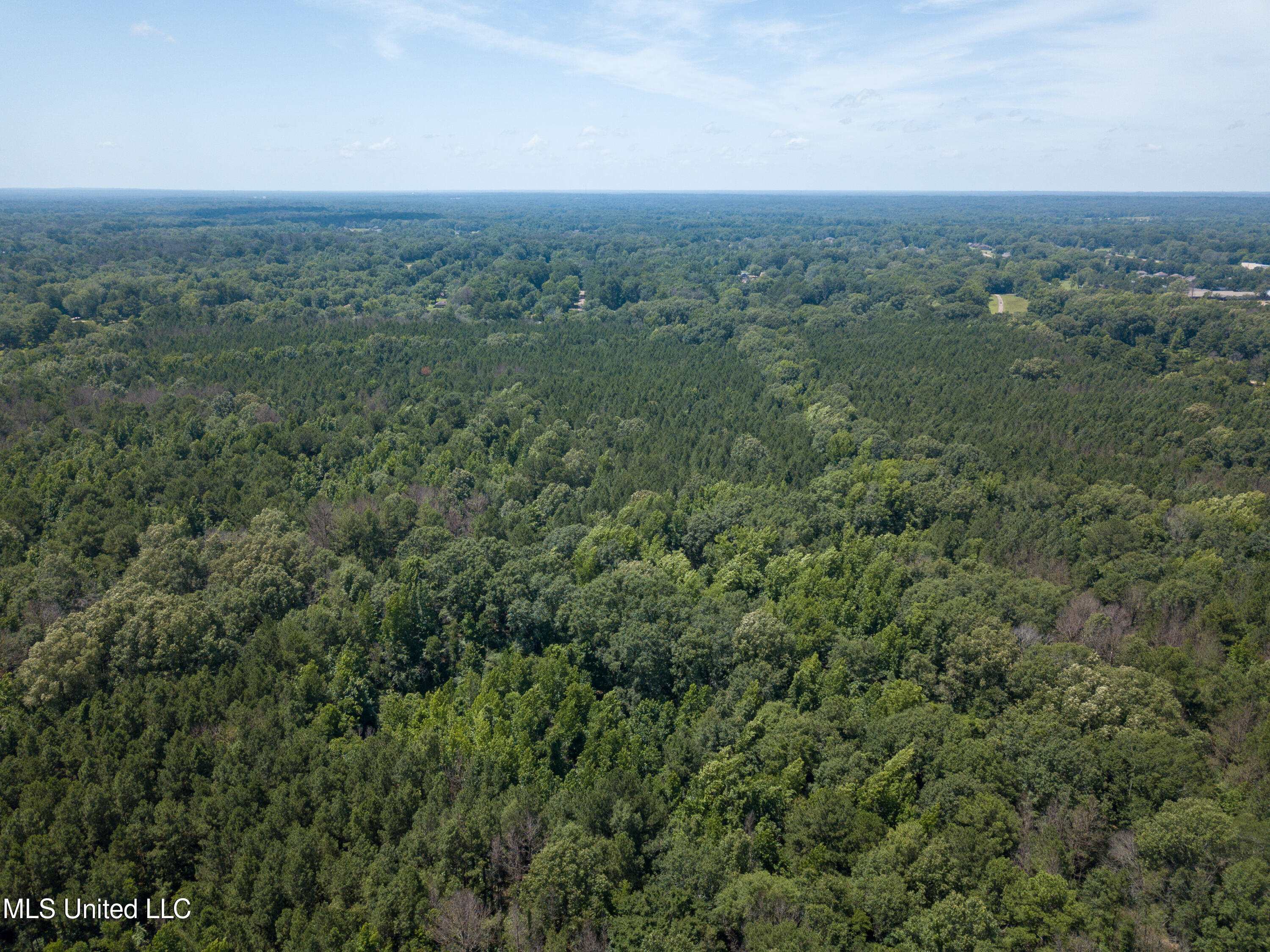 Raymond Road, Jackson, Mississippi image 19