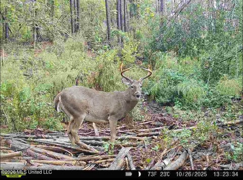 Vacant Land For Sale - NW Union Road<br/> Lincoln County, Brookhaven, MS 39601