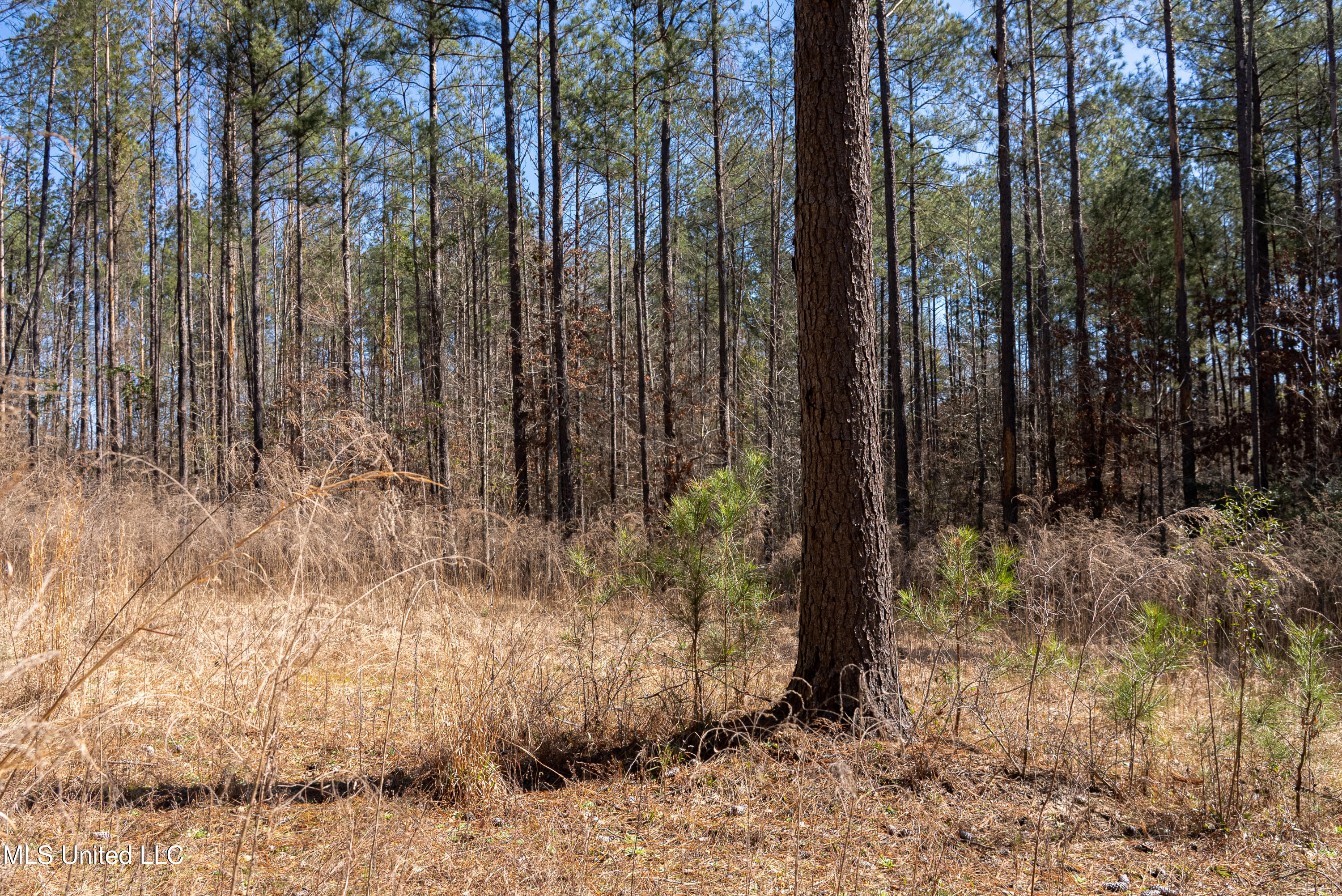 7147 Highway 472, Hazlehurst, Mississippi image 39