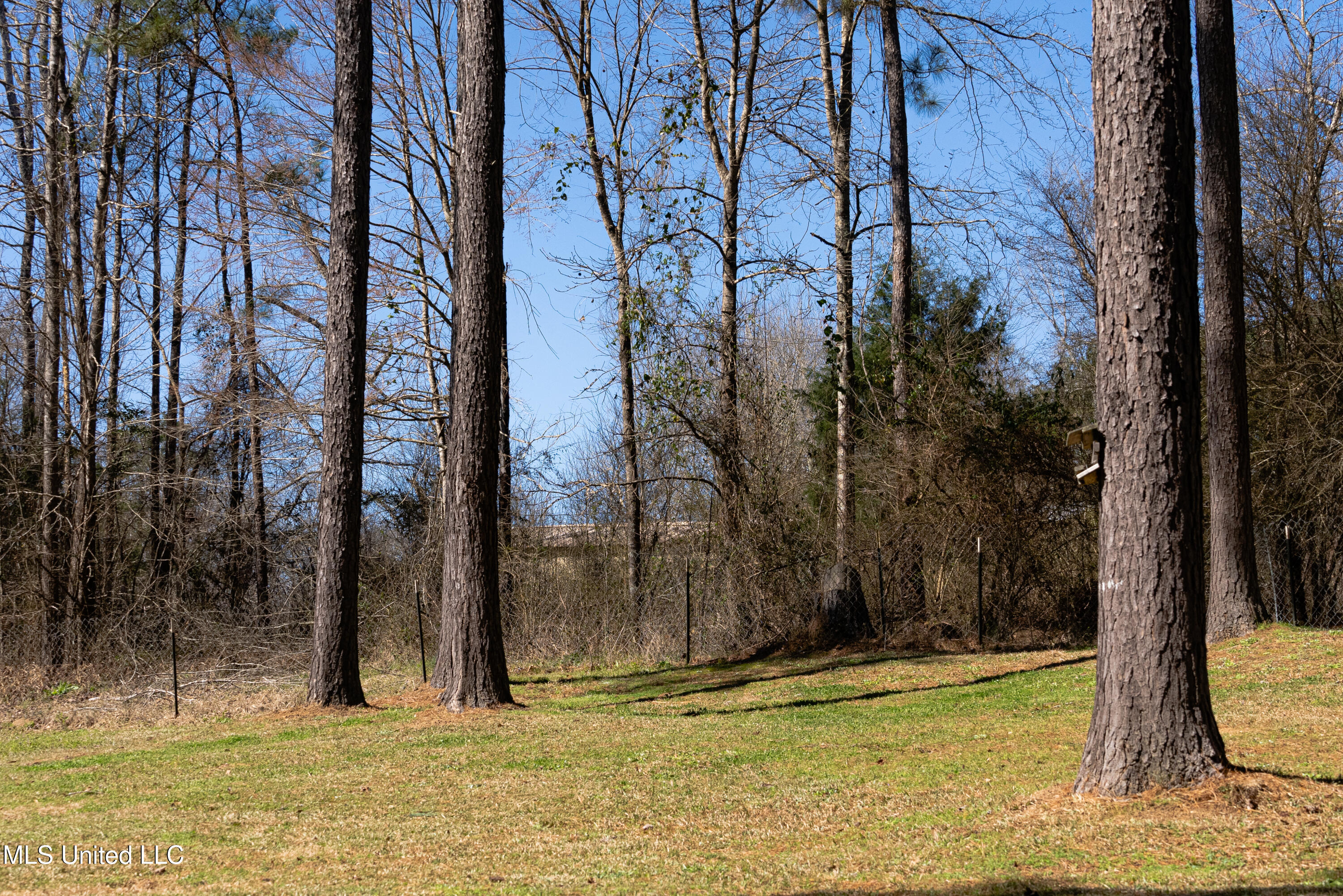 7147 Highway 472, Hazlehurst, Mississippi image 38