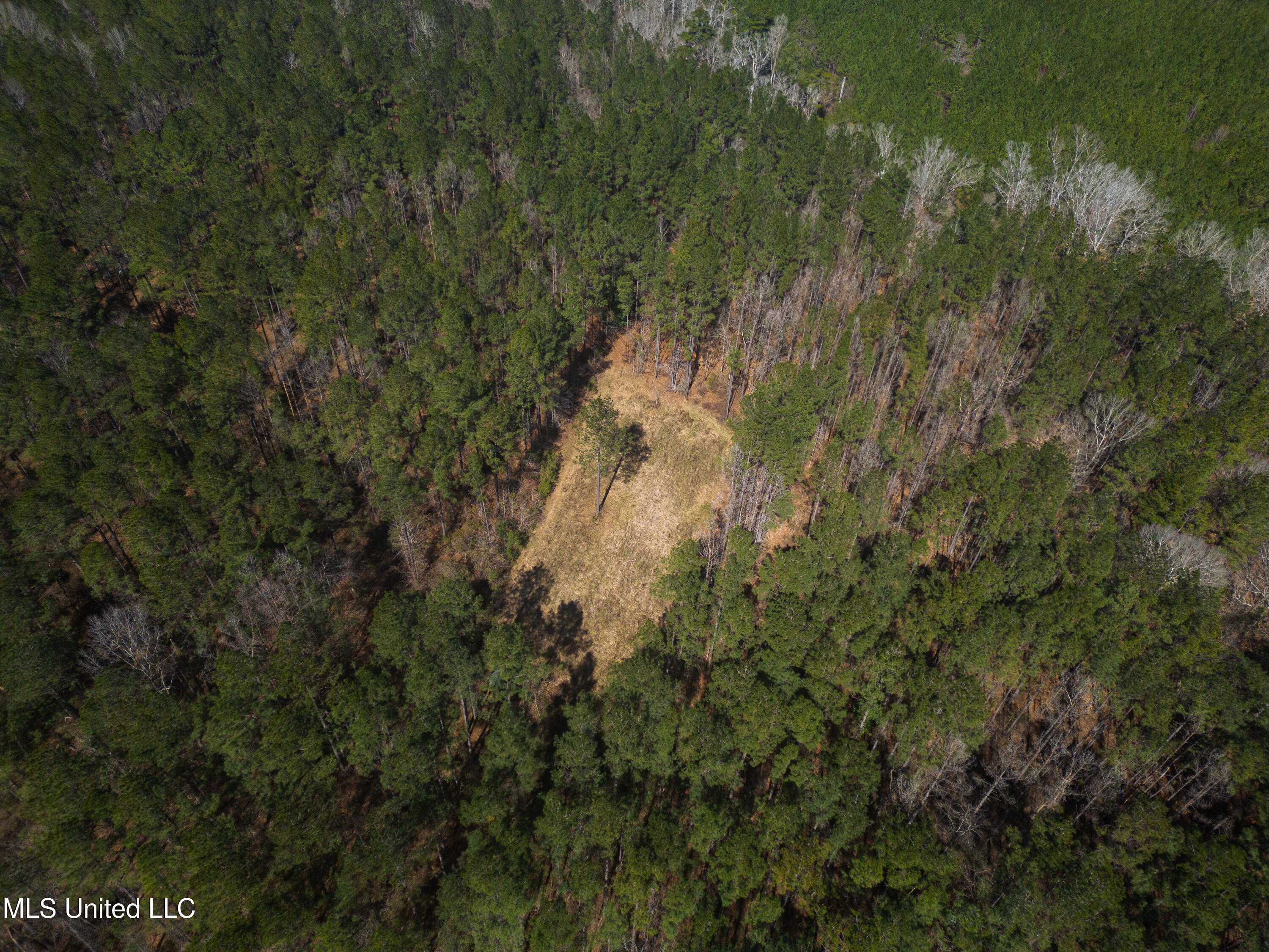 7147 Highway 472, Hazlehurst, Mississippi image 3