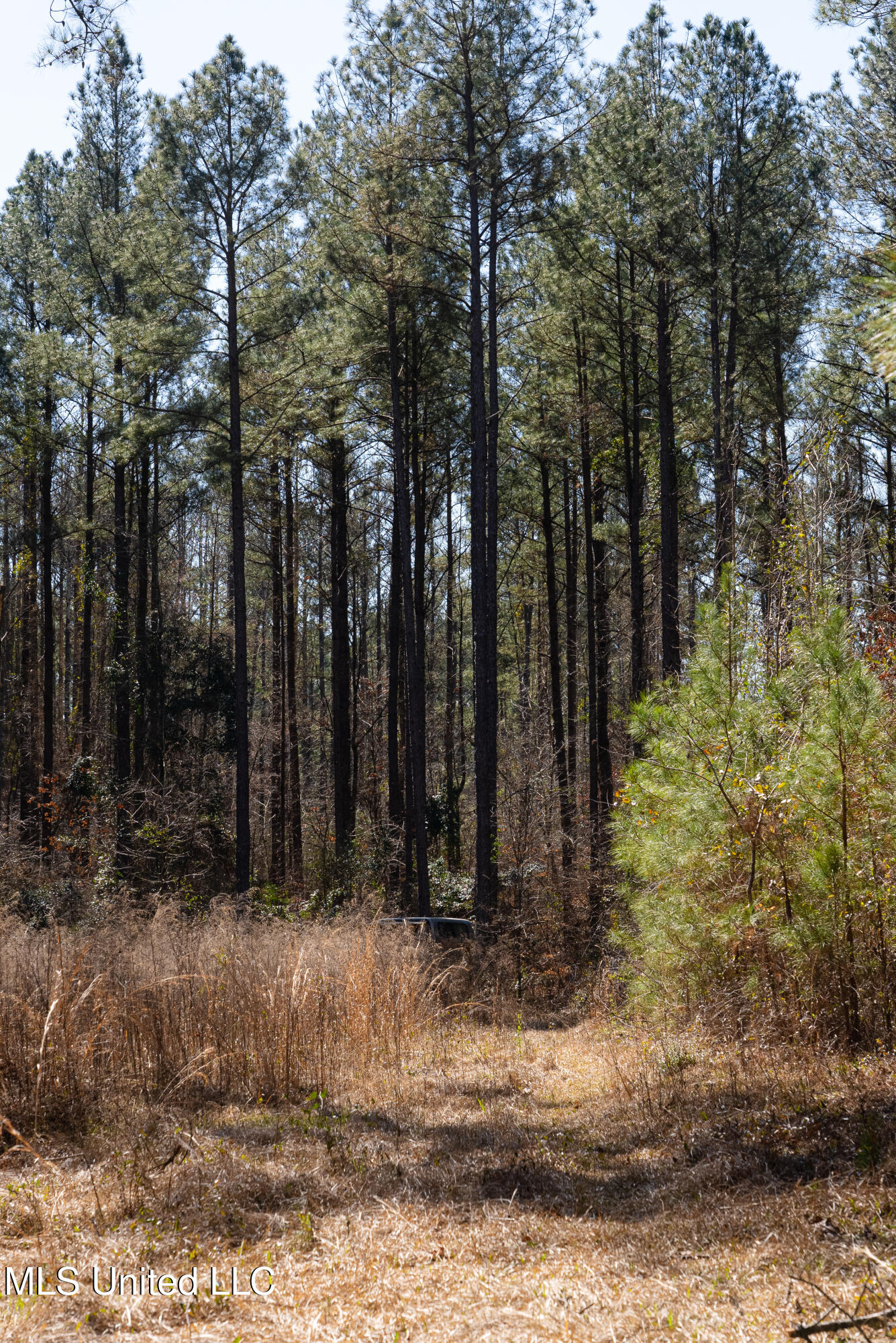 7147 Highway 472, Hazlehurst, Mississippi image 42
