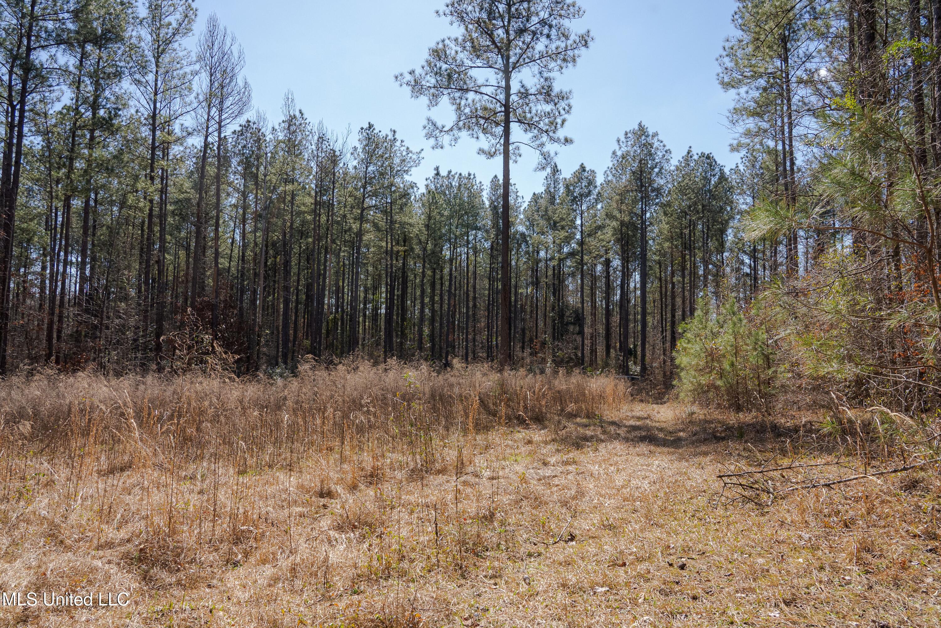 7147 Highway 472, Hazlehurst, Mississippi image 47