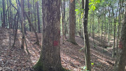 Vacant Land For Sale - 1404 Causey Road<br/> Meadville, MS 39653